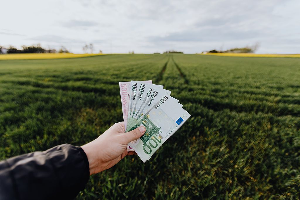 Symbolbild: Eine Hand mit Geldscheinen vor einem Feld, Link zur Seite "Kommunalabgaben"