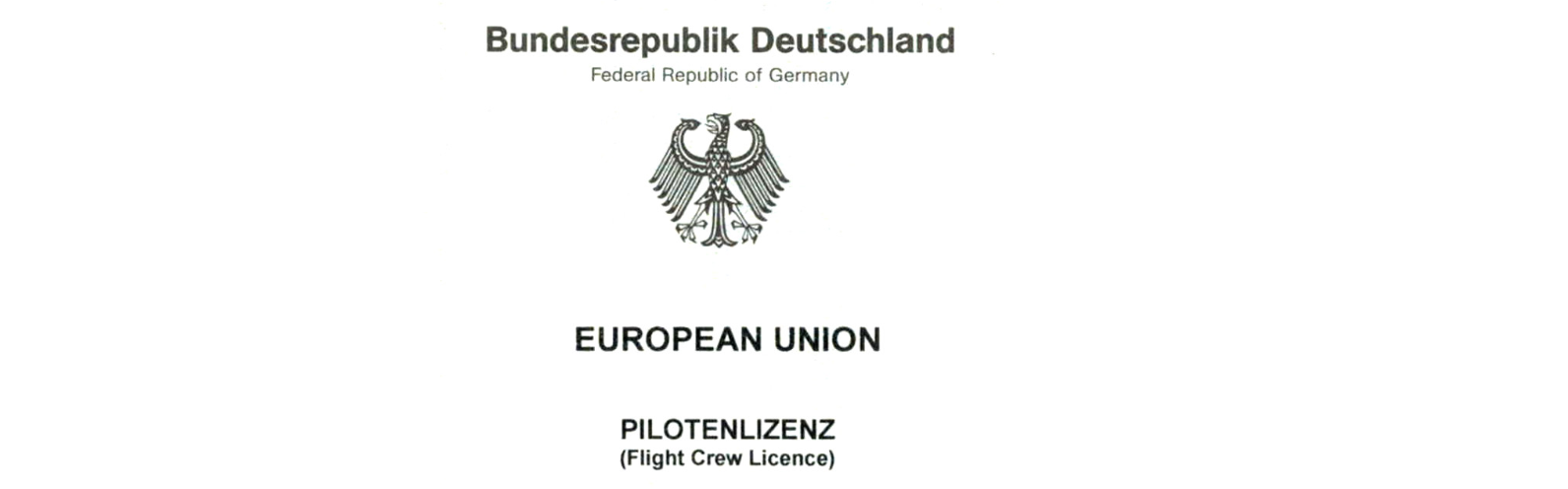 Pilozenlizenz